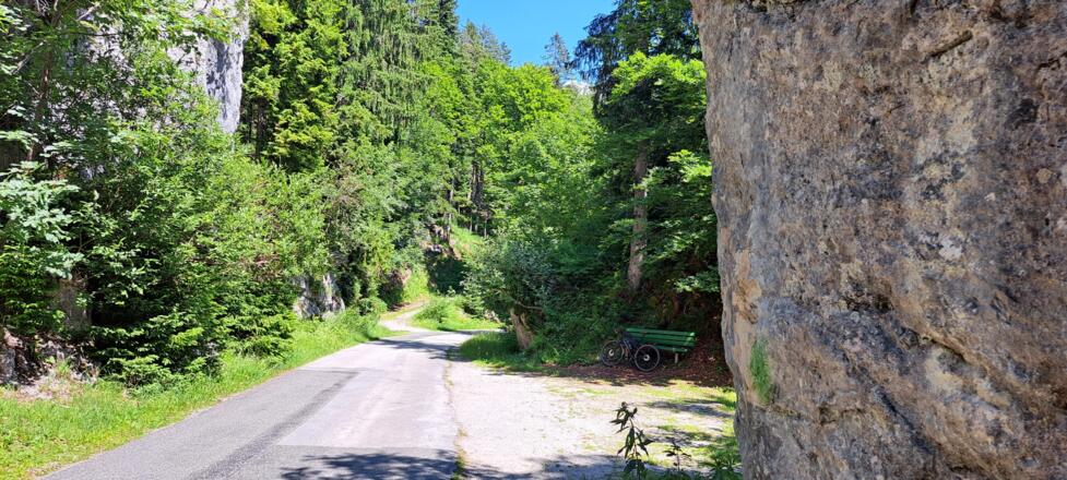 Am Weg zum Seewaldsee...