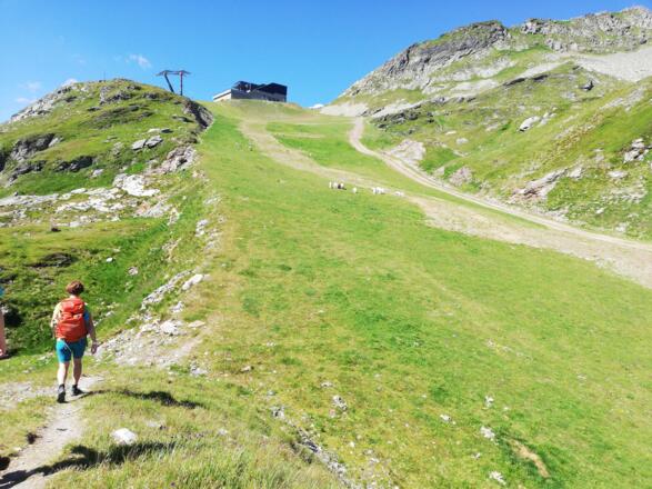 Noch eine Piste die wir queren