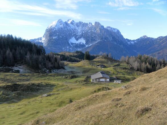 Sprissleralm vor Wildem Kaiser