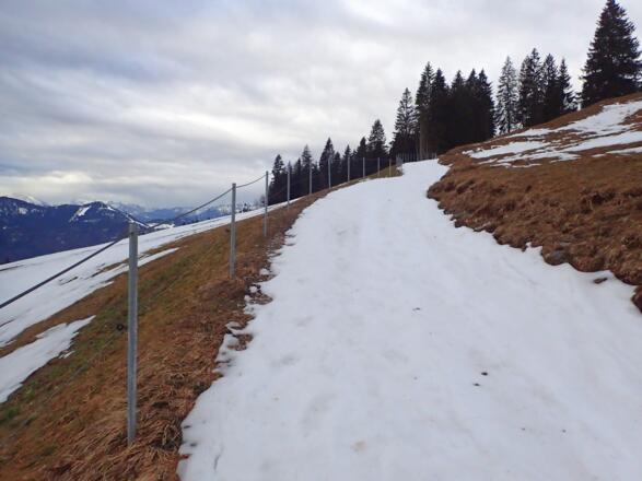 Aufstieg über den Fahrweg