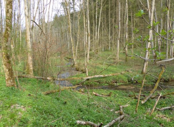 Kainsbachtal