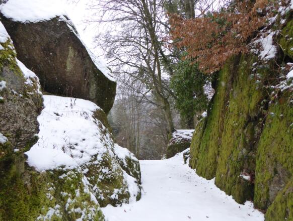 um die Burg Ranfels herum