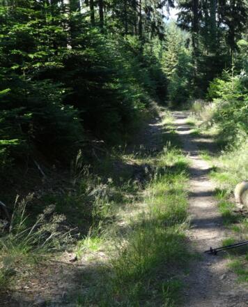 Abstieg nach Kalteck