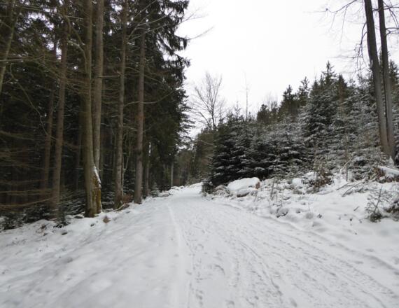 Weg nach Habischried