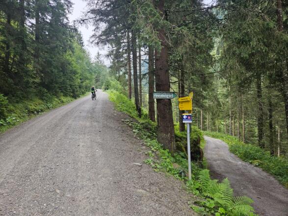 Abzweigung zum Naturfreundehaus
