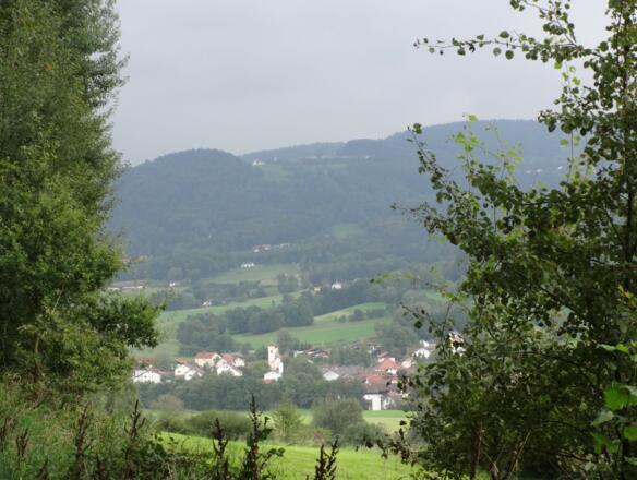 Blick auf Hunding
