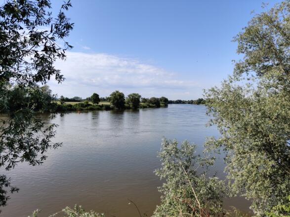 Donau bei Reibersdorf