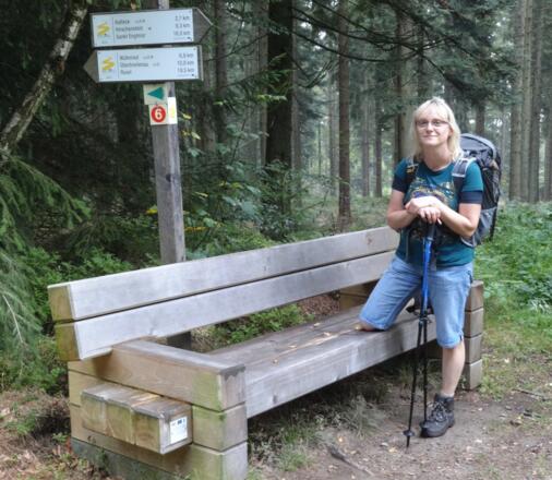 Goldsteinmarkierung unterhalb des Klostersteins