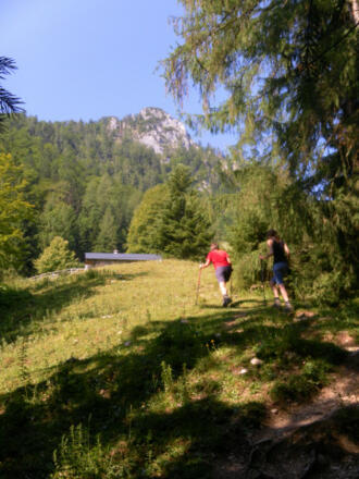 Dürntalalm