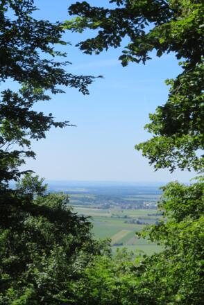 Ausblick vom Ebersberg