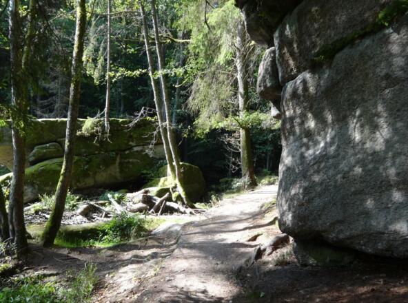 Einstieg ins Waldnaabtal