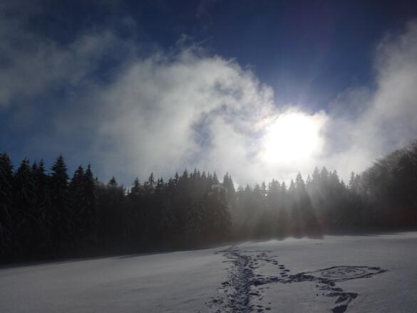 Winter-Wonderland 3