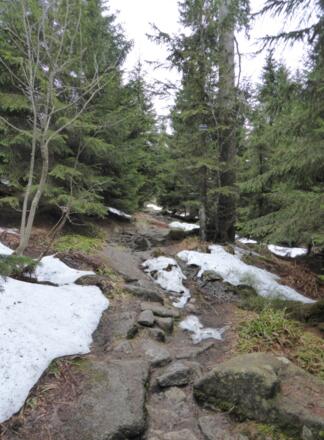 Pfad zum Steinernen Meer