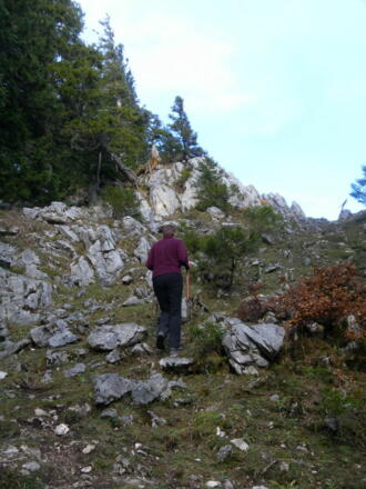 Anstieg zum Kammsattel rechts der Sonnwendwand