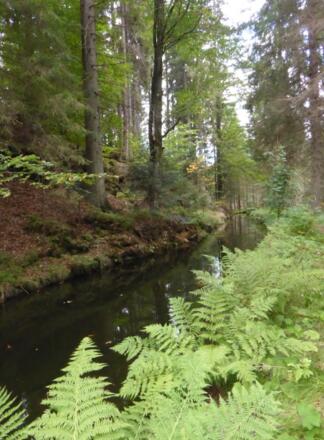 am Mühlenkanal entlang