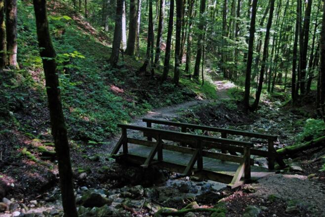 Auf dem Gerner Höhenweg