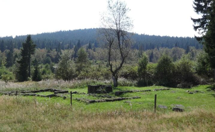 ehemaliges Bergdorf Oberbreitenau