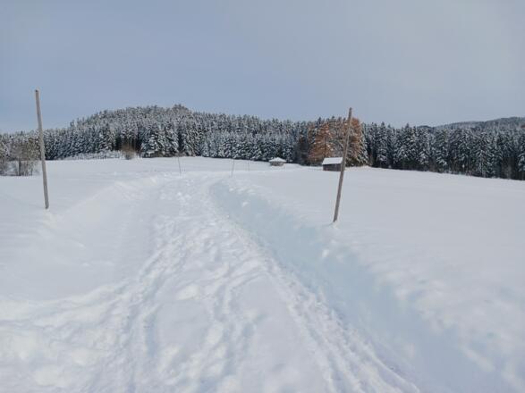 Nordwaldkammweg bei Haslach