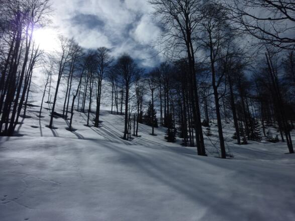 Der kurze Gipfelhang