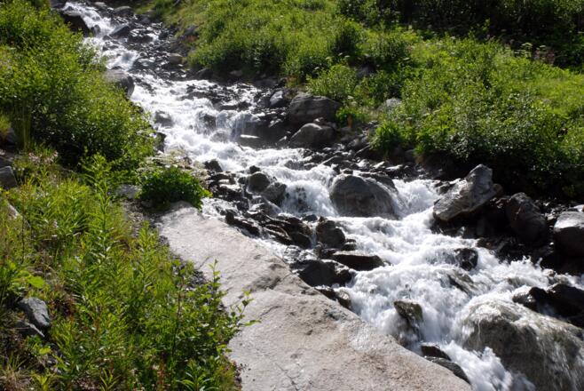 Kitzlesbach im unteren Wegabschnitt