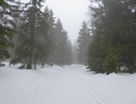 unmarkierter Aufstieg auf den Gipfel