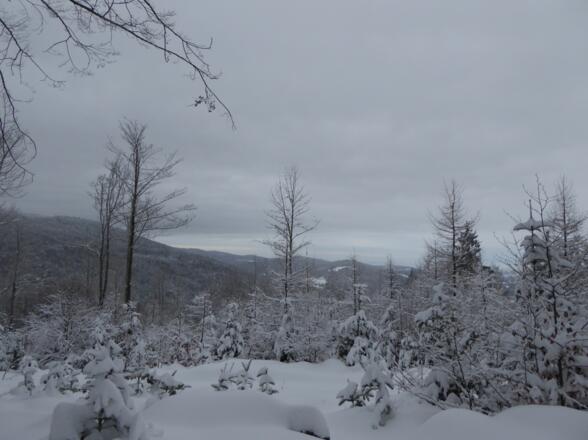 Blick vom Kellerstein