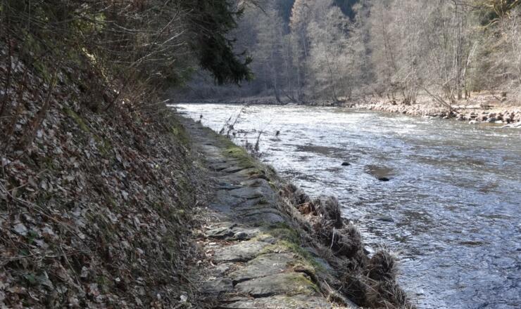 Triftweg kurz vor Kalteneck
