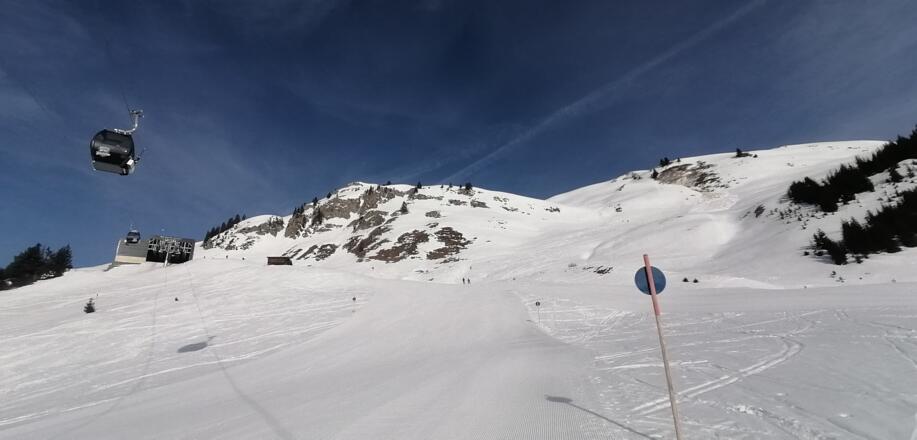 ..bis man den Wald verlässt und die letzten Hm zur Bergstation über die Piste zurücklegt