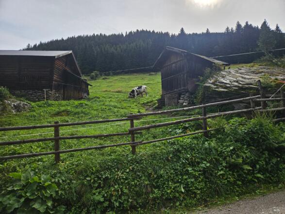 Vorbei an einer ersten Alm