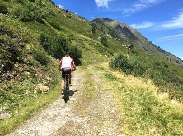 Ein Traktorweg, der aber immer fahrbar ist, führt nun hinauf zum Hochleger.
