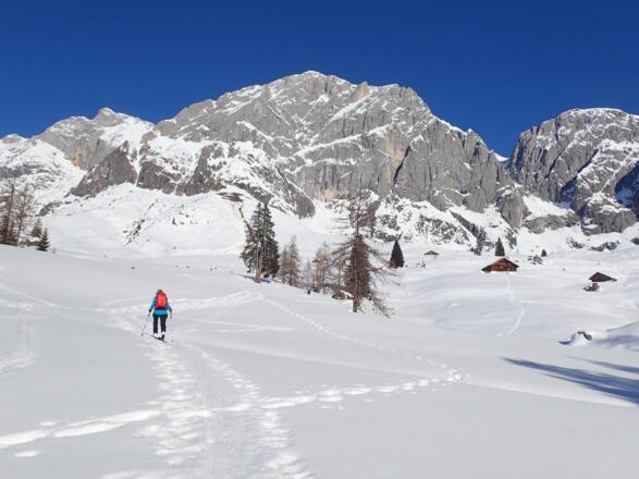 Blickfang Wetterwand