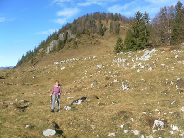 Südflanke des Kohlenbergs