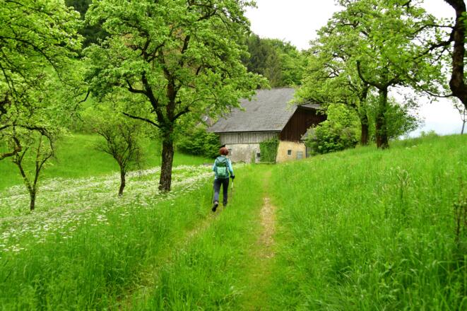 Am schönen Zellerlweg