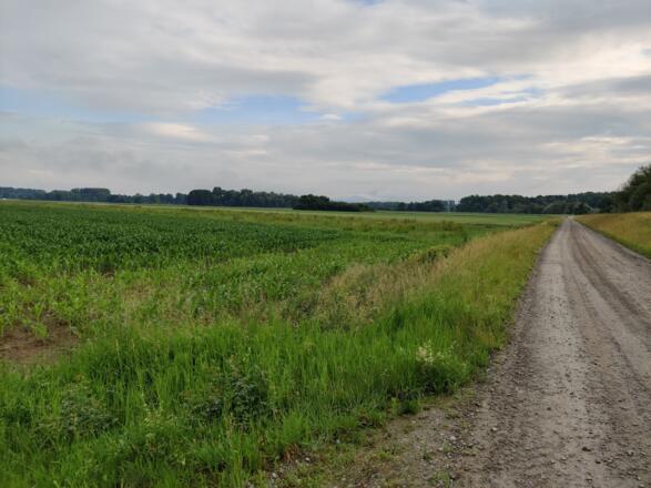Überschwemmungsgebiet bei Winzer