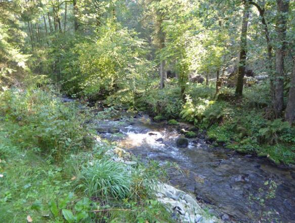 Am Staffelbach entlang
