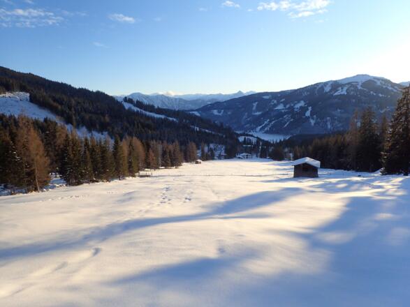 Auf der Wiese neben dem Skilift