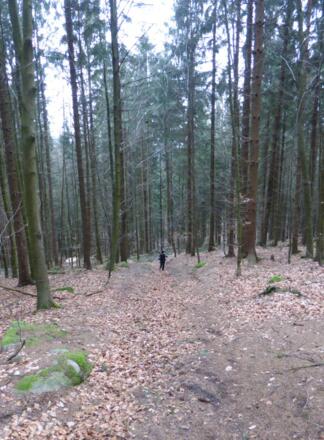 steiler Aufstieg auf den Schwarzwihrberg