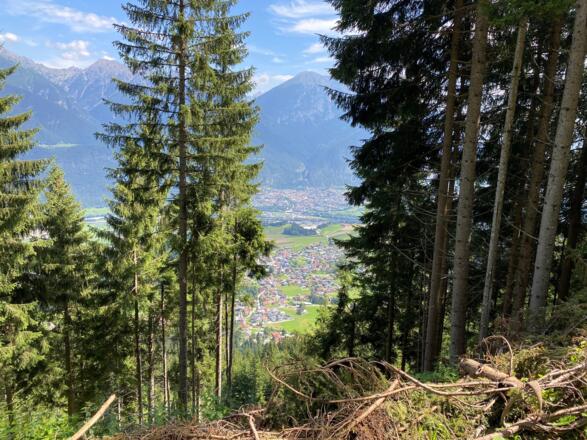 Der Güterweg führt nun eine längere Zeit durch den Wald bergan, dennoch gibt es immer wieder Lücken mit Blick ins Tal.