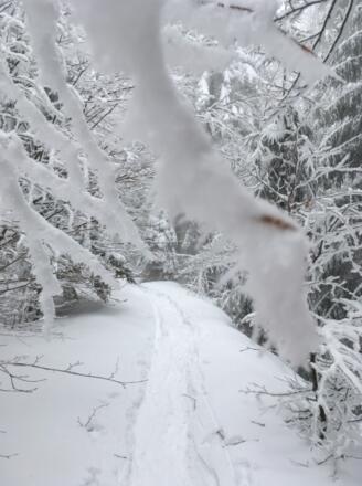 Abstieg nach Kalteck