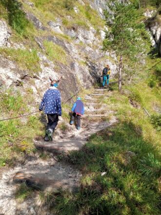 Im Aufstieg auf dem Hausbachfallsteig.
