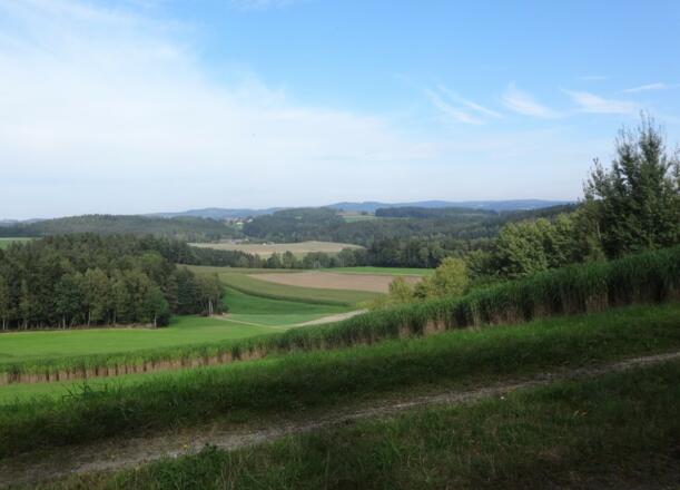 kurz vor Wilchenreuth
