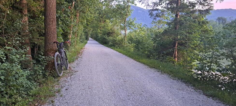 Zu guter Letzt unspektakulär der Salzach entlang...