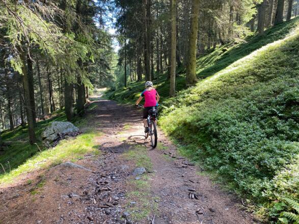 Am Anfang noch ein Traktorweg, geht dieser Verbindungsweg nach Stiglreith in einen kurzen Trail über.