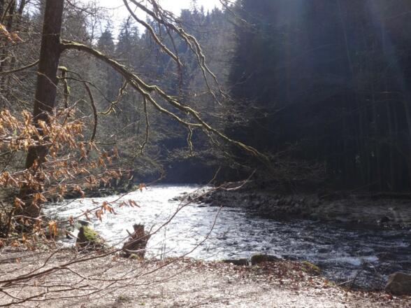 Blick auf die Ilz kurz vor Fürsteneck