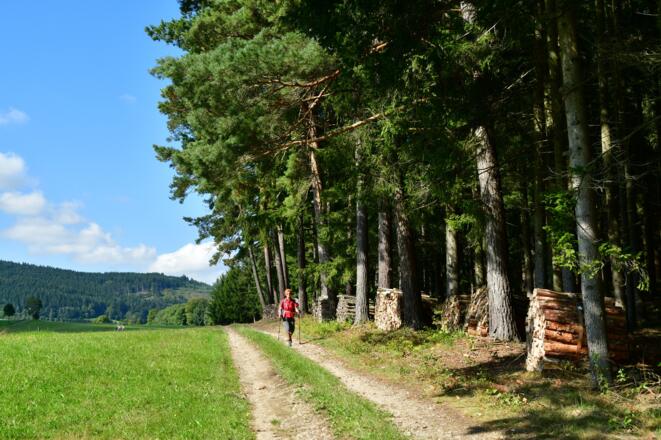 Am Weg nach Hammern
