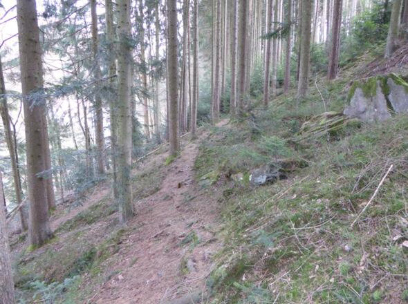 Waldpfad kurz vor Klostermühl