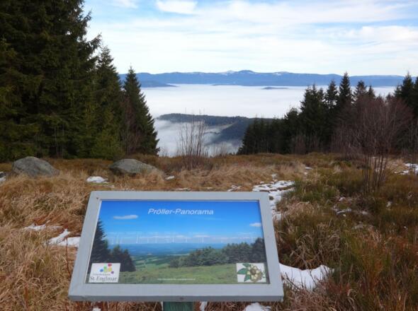 Blick vom Pröller in den Bayer. Wald