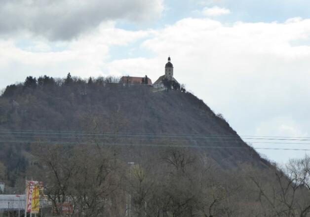 Blick auf den Bogenberg