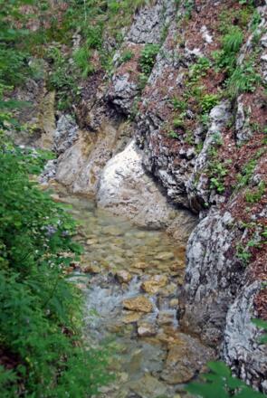 In der Klamm der Schwarzache