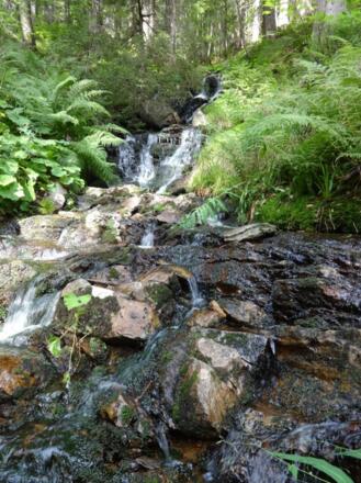 kleine Wasserfälle am Höllbach